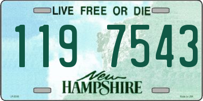 NH license plate 1197543