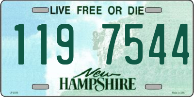 NH license plate 1197544