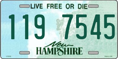 NH license plate 1197545