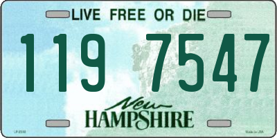NH license plate 1197547