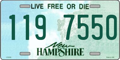NH license plate 1197550