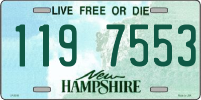 NH license plate 1197553