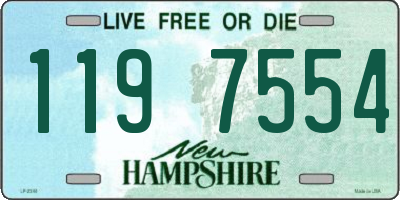 NH license plate 1197554