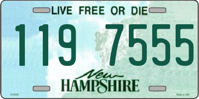 NH license plate 1197555