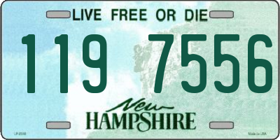 NH license plate 1197556