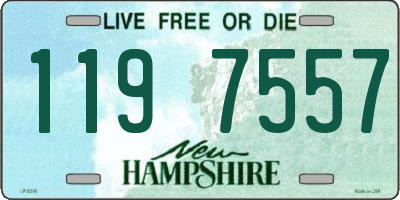 NH license plate 1197557
