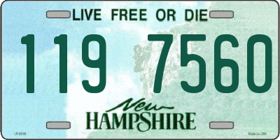 NH license plate 1197560