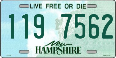 NH license plate 1197562