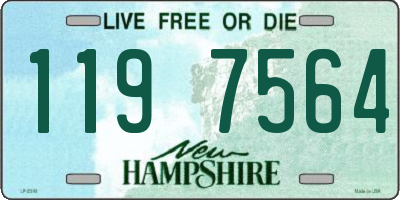 NH license plate 1197564