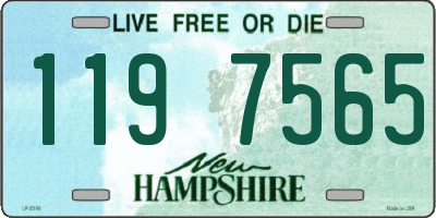 NH license plate 1197565