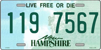 NH license plate 1197567
