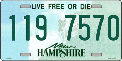 NH license plate 1197570
