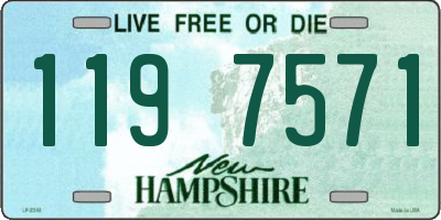 NH license plate 1197571