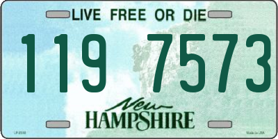 NH license plate 1197573