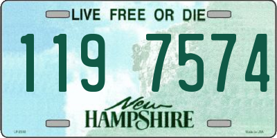 NH license plate 1197574