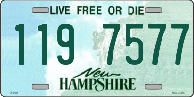 NH license plate 1197577
