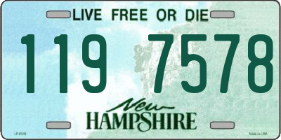 NH license plate 1197578