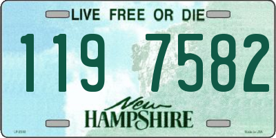 NH license plate 1197582