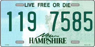NH license plate 1197585