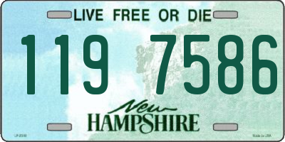 NH license plate 1197586