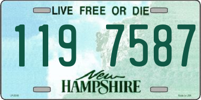 NH license plate 1197587