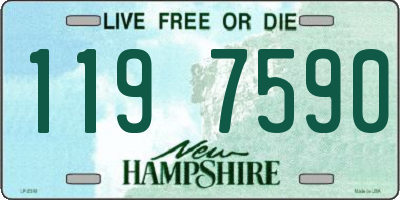 NH license plate 1197590