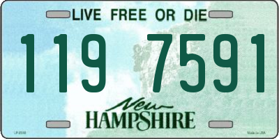 NH license plate 1197591