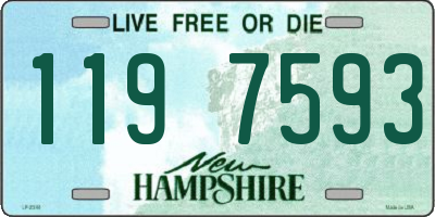 NH license plate 1197593