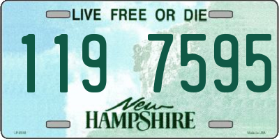 NH license plate 1197595