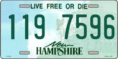 NH license plate 1197596