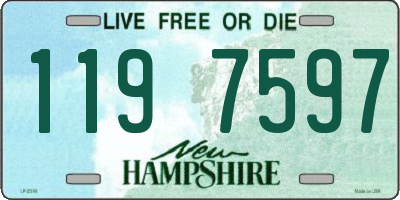NH license plate 1197597