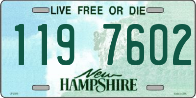 NH license plate 1197602