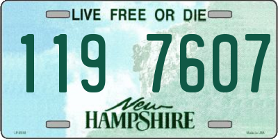 NH license plate 1197607