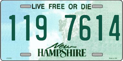 NH license plate 1197614