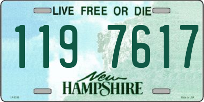 NH license plate 1197617