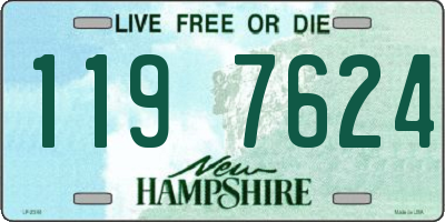 NH license plate 1197624