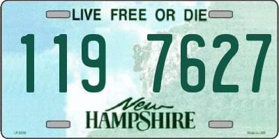 NH license plate 1197627