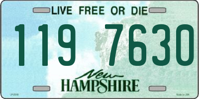 NH license plate 1197630