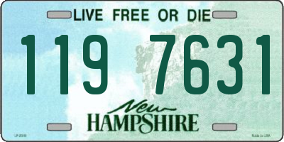 NH license plate 1197631