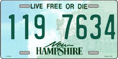 NH license plate 1197634