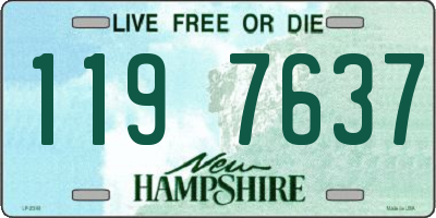 NH license plate 1197637