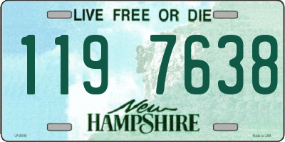 NH license plate 1197638