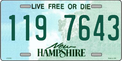 NH license plate 1197643