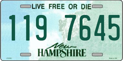 NH license plate 1197645