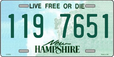 NH license plate 1197651