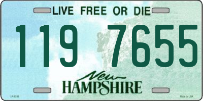 NH license plate 1197655