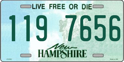 NH license plate 1197656