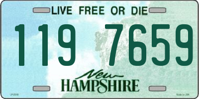 NH license plate 1197659