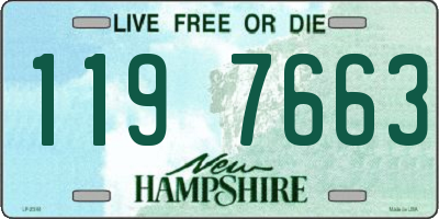 NH license plate 1197663