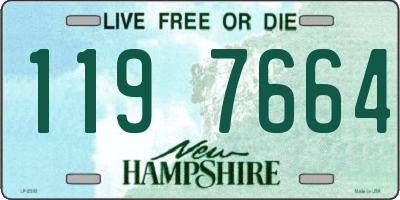NH license plate 1197664